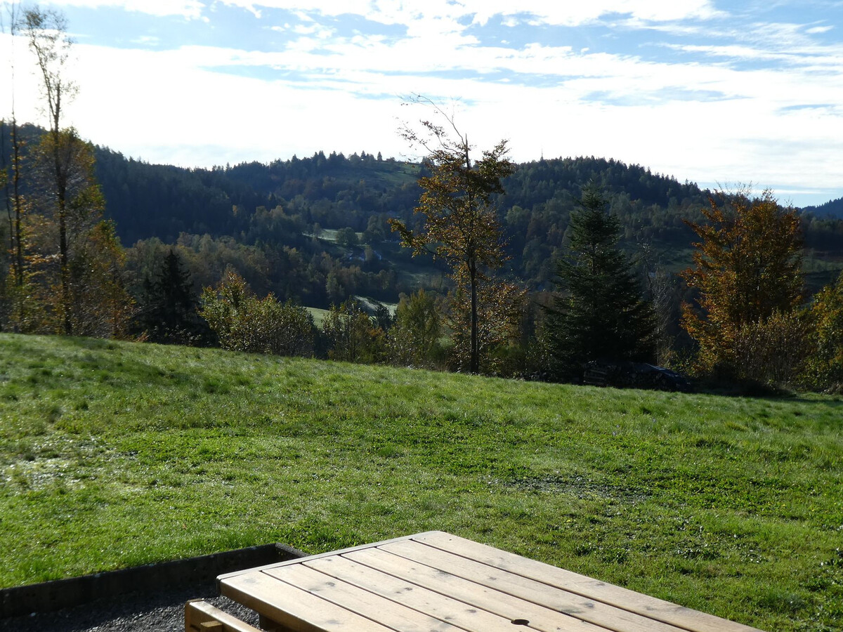 Gîte neuf 6 pers au Tholy, terrasse et accès forêt - Photo 8