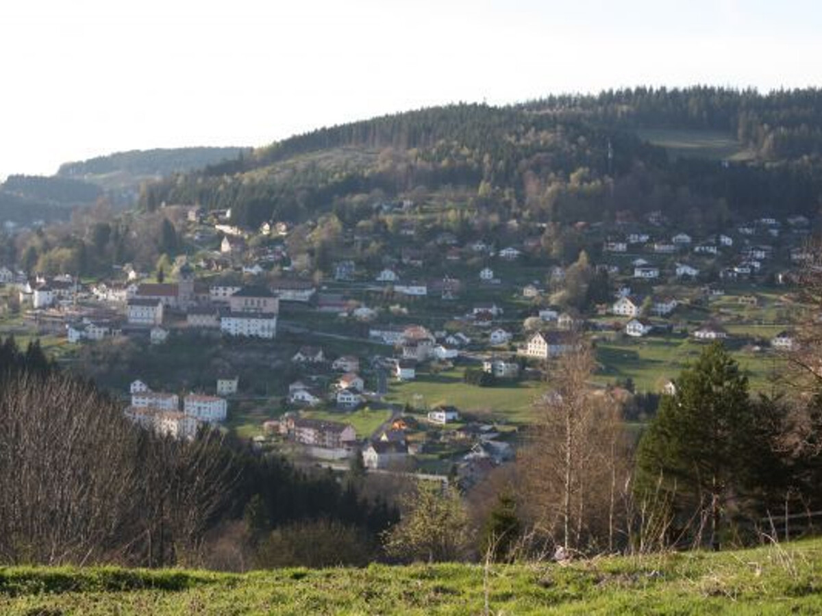 Gîte neuf 6 pers au Tholy, terrasse et accès forêt - Photo 36