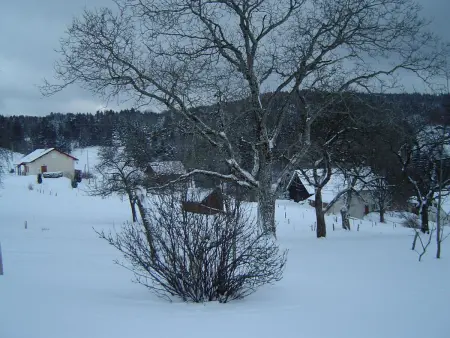 Gîte 9 personnes Réhaupal, cheminée et accès nature : photo 19
