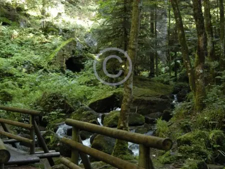 Gîte 9 personnes Réhaupal, cheminée et accès nature : photo 27