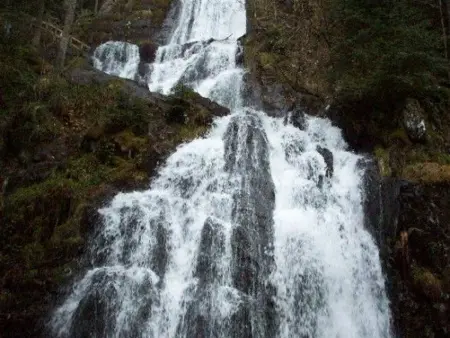 Gîte 9 personnes Réhaupal, cheminée et accès nature : photo 29