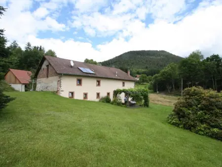 Grande Ferme Rénovée avec Jardin, Terrasse et Sentiers à Proximité - Vosges - Photo 4