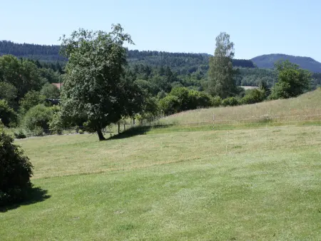 Grande Ferme Rénovée avec Jardin, Terrasse et Sentiers à Proximité - Vosges - Photo 15