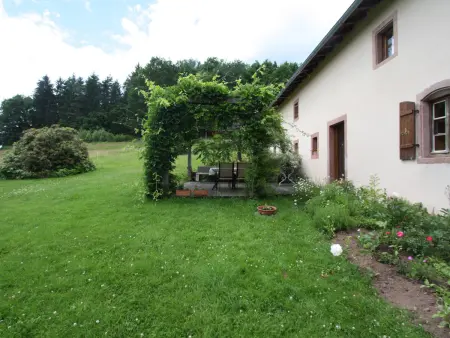 Grande Ferme Rénovée avec Jardin, Terrasse et Sentiers à Proximité - Vosges - Photo 16