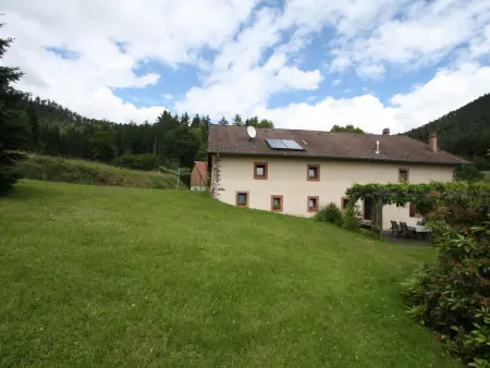Grande Ferme Rénovée avec Jardin, Terrasse et Sentiers à Proximité - Vosges - Photo 17