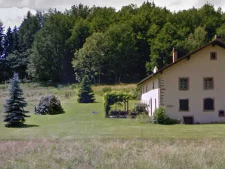 Grande Ferme Rénovée avec Jardin, Terrasse et Sentiers à Proximité - Vosges - Photo 18
