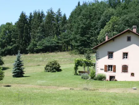 Grande Ferme Rénovée avec Jardin, Terrasse et Sentiers à Proximité - Vosges - Photo 34