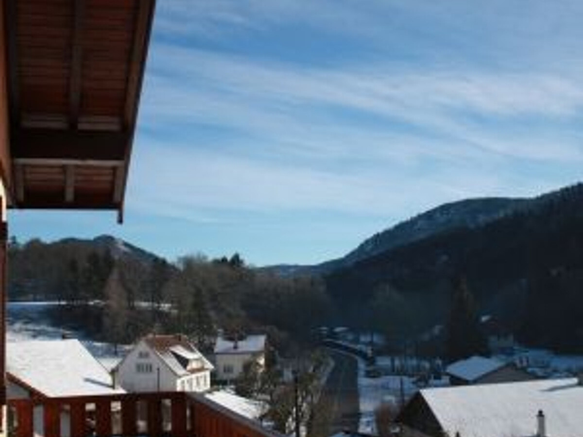 Chalet en forêt à Rochesson, 3 pers., équipé - Photo 11