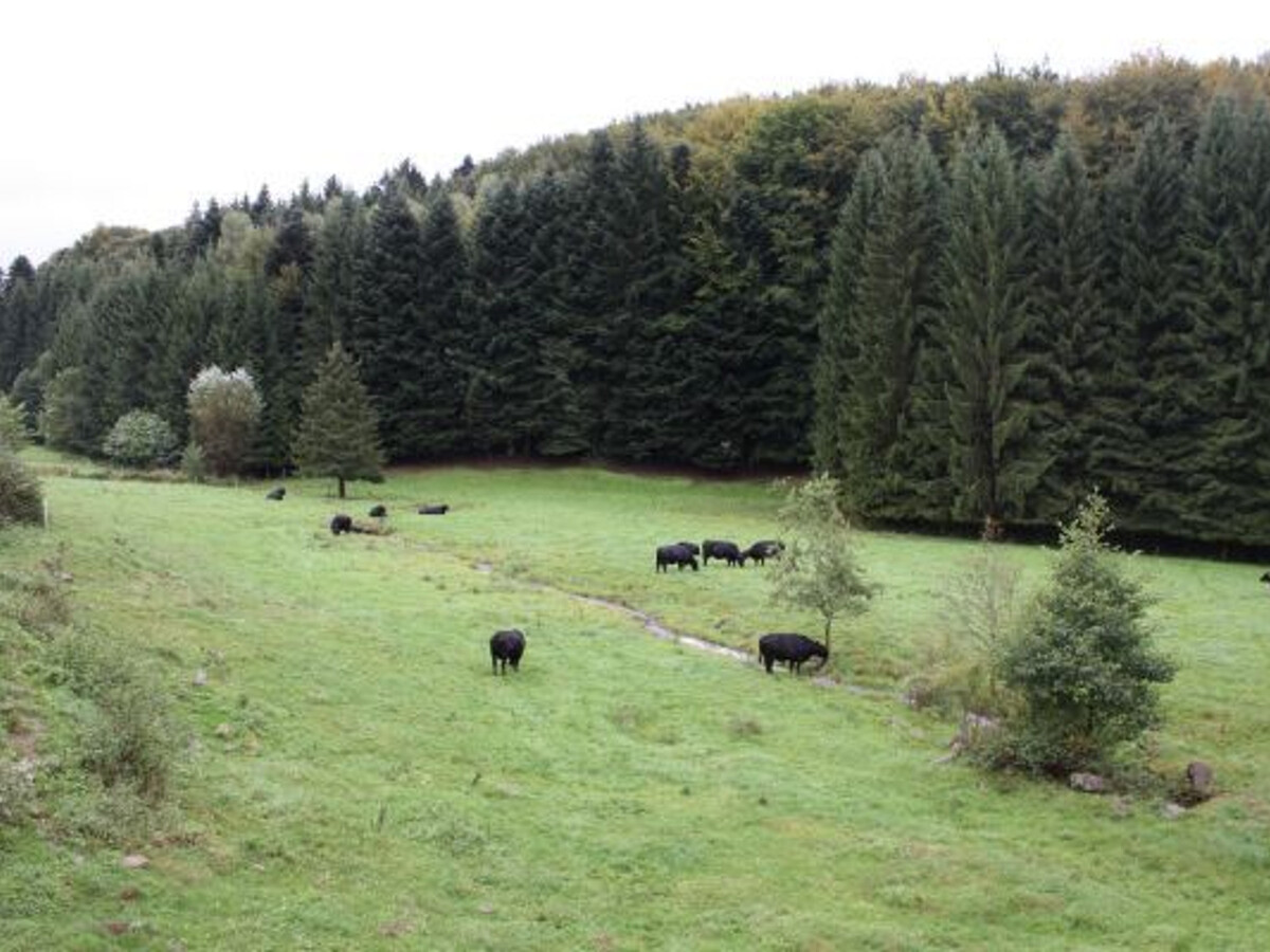 Gîte familial piscine privative à Vienville - Photo 8