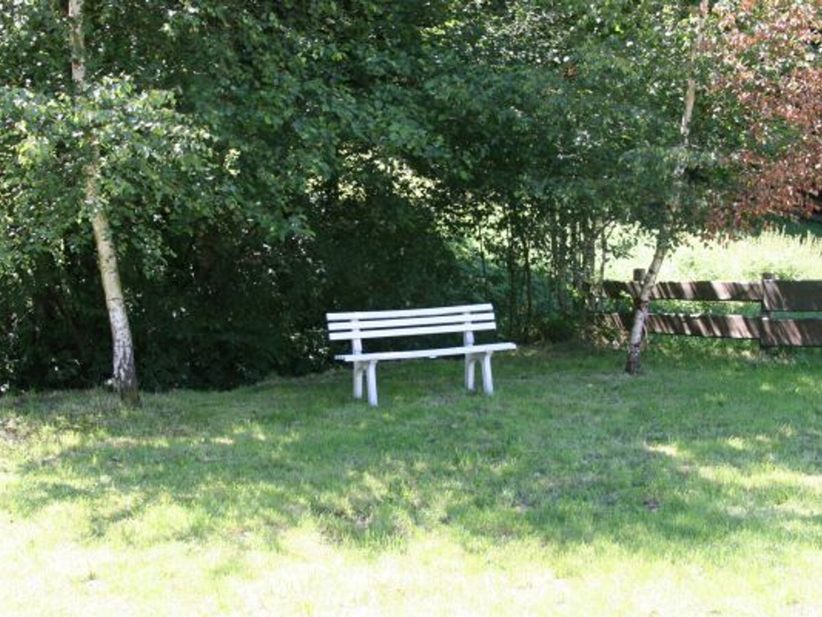 Gîte familial piscine privative à Vienville - Photo 33