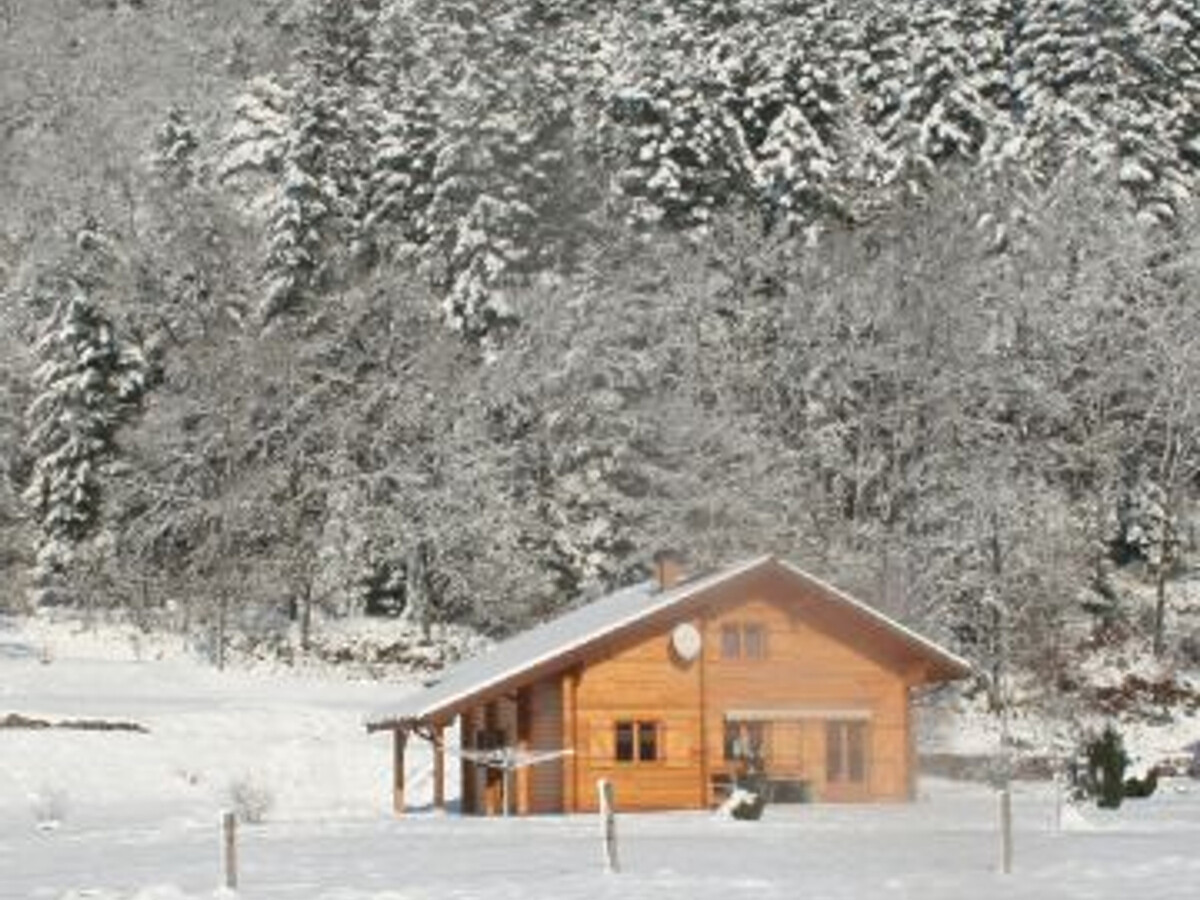 Chalet 6 pers. avec terrasse, forêt & ski à 15 km - Photo 29
