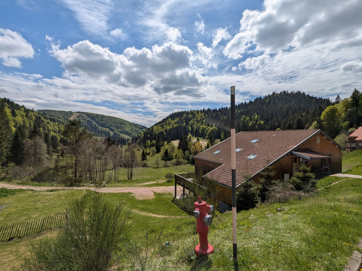Gîte rénové 4 pers. avec terrasse 32 m² à La Bresse - Photo 15