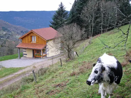 Gîte montagnard rénové 4 pers., randonnées et raquettes - Photo 14