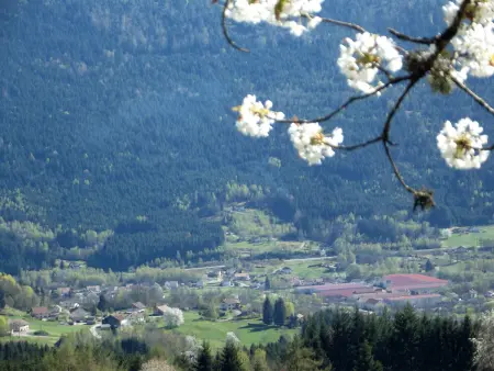 Gîte montagnard rénové 4 pers., randonnées et raquettes - Photo 28