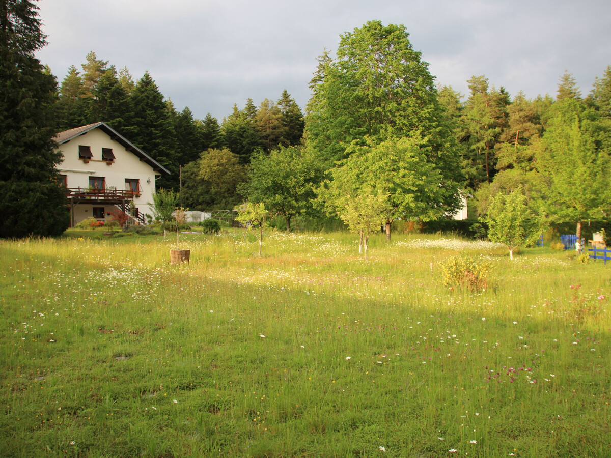 Gîte en forêt avec visite de ruche, 4 personnes - Photo 8