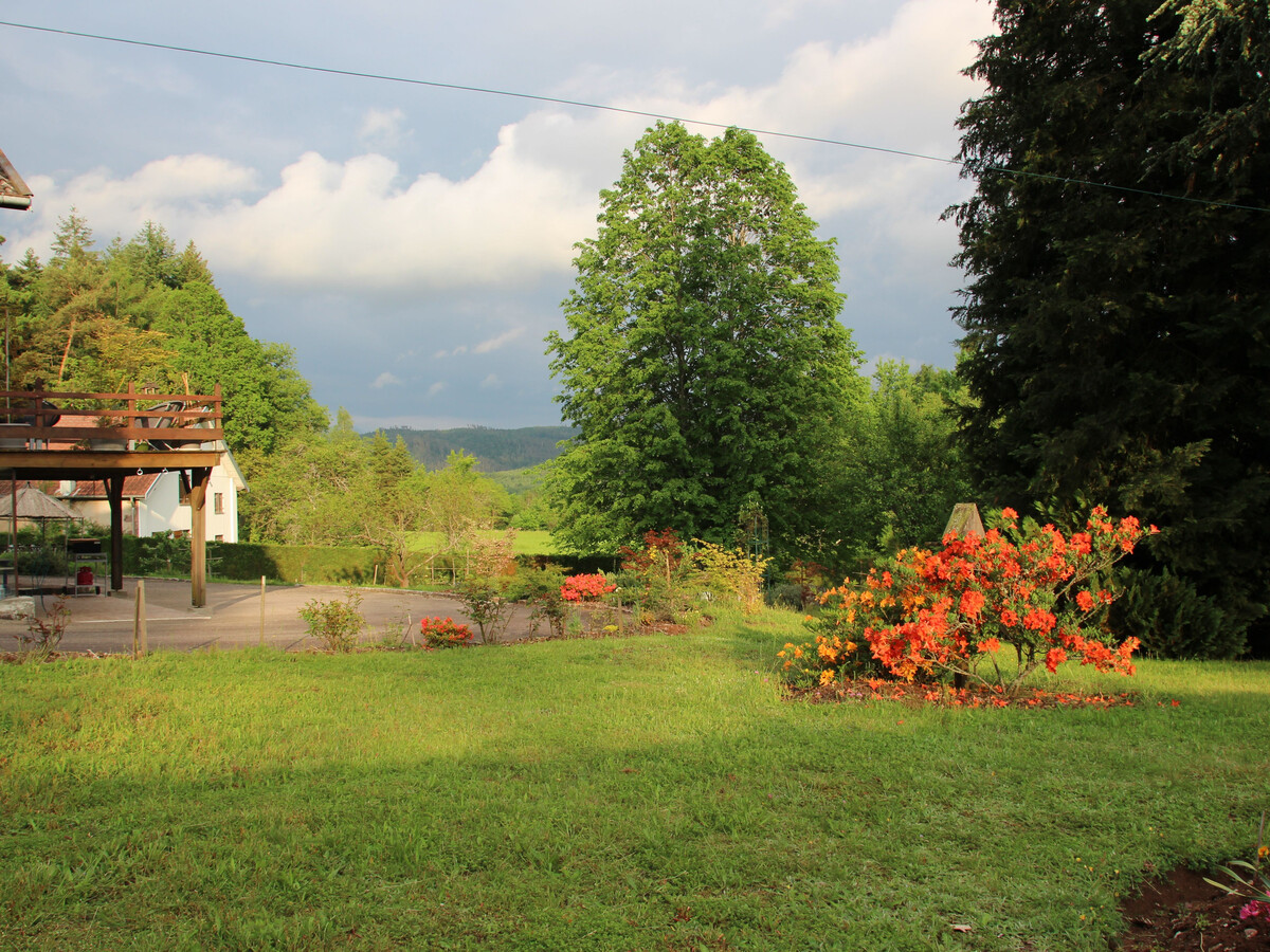 Gîte en forêt avec visite de ruche, 4 personnes - Photo 11