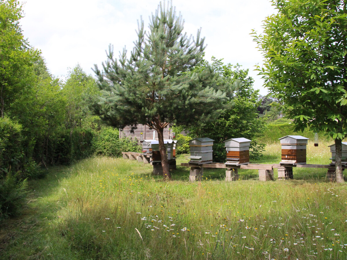Gîte en forêt avec visite de ruche, 4 personnes - Photo 12