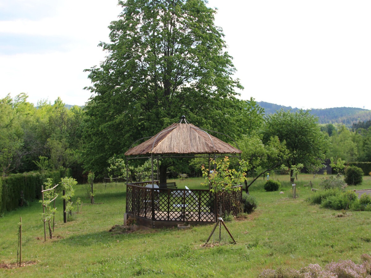 Gîte en forêt avec visite de ruche, 4 personnes - Photo 13