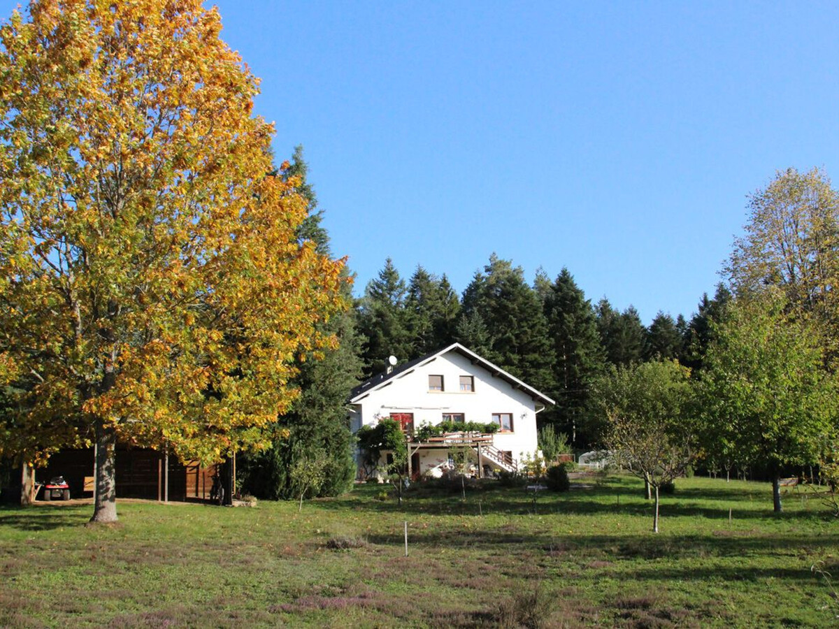 Gîte en forêt avec visite de ruche, 4 personnes - Photo 15
