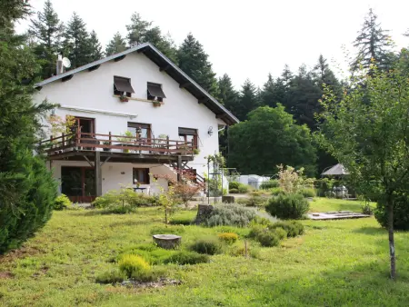 Location gite à La Bourgonce, Gîte paisible en forêt avec terrasse, 4 personnes