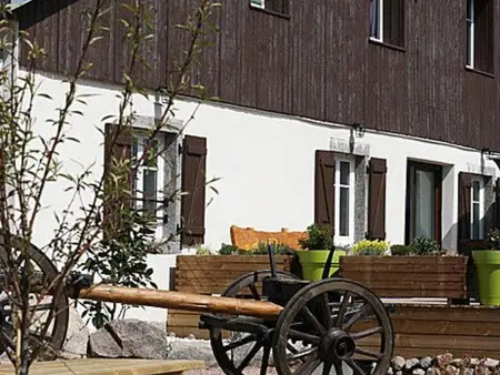 Ferme Vosgienne rénovée, spa et étang privé à Saulxures - Photo 29