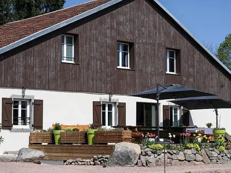 Ferme Vosgienne rénovée, spa et étang privé à Saulxures - Photo 30