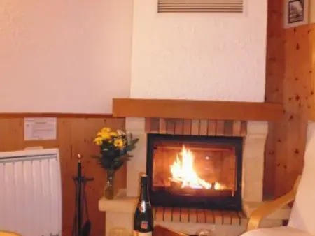 Gîte 5 pers. vue Vosges, jardin et terrasse 30m² - Photo 17