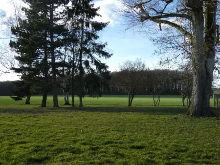 Gîte du Petit Potron : 5 pers, billard et 3000 m² de jeux : photo 32