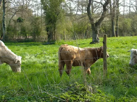 Maison 5 chambres avec jardin près de Chartres : photo 25