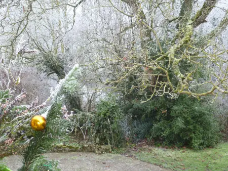 Maison 5 chambres avec jardin près de Chartres : photo 27