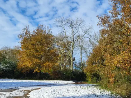 Maison 5 chambres avec jardin près de Chartres : photo 36
