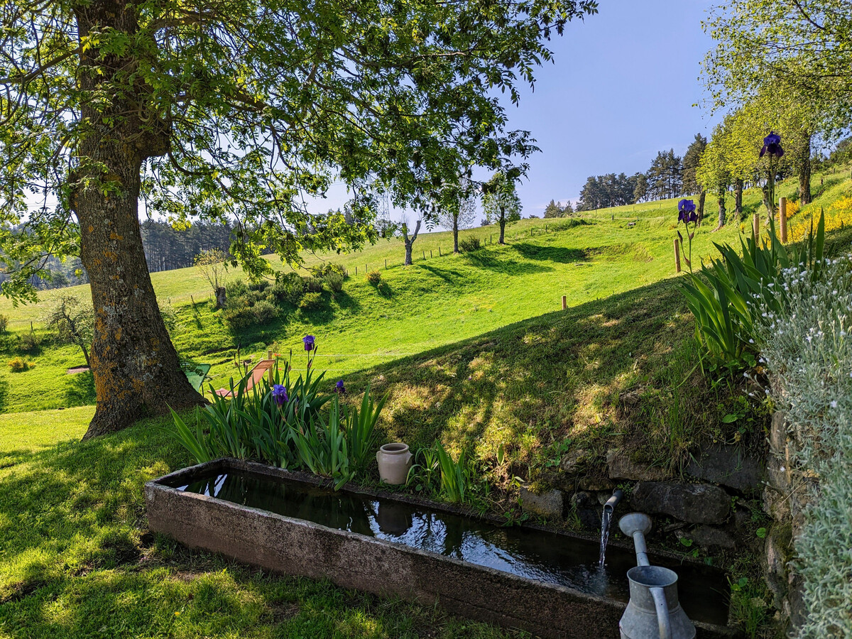 Gîte plain-pied PMR, vue cervidés, 8 pers., animaux OK - Photo 2