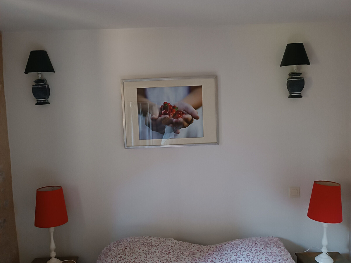 Gîte 14 pers. Alençon - Activités sensations fortes - Photo 23