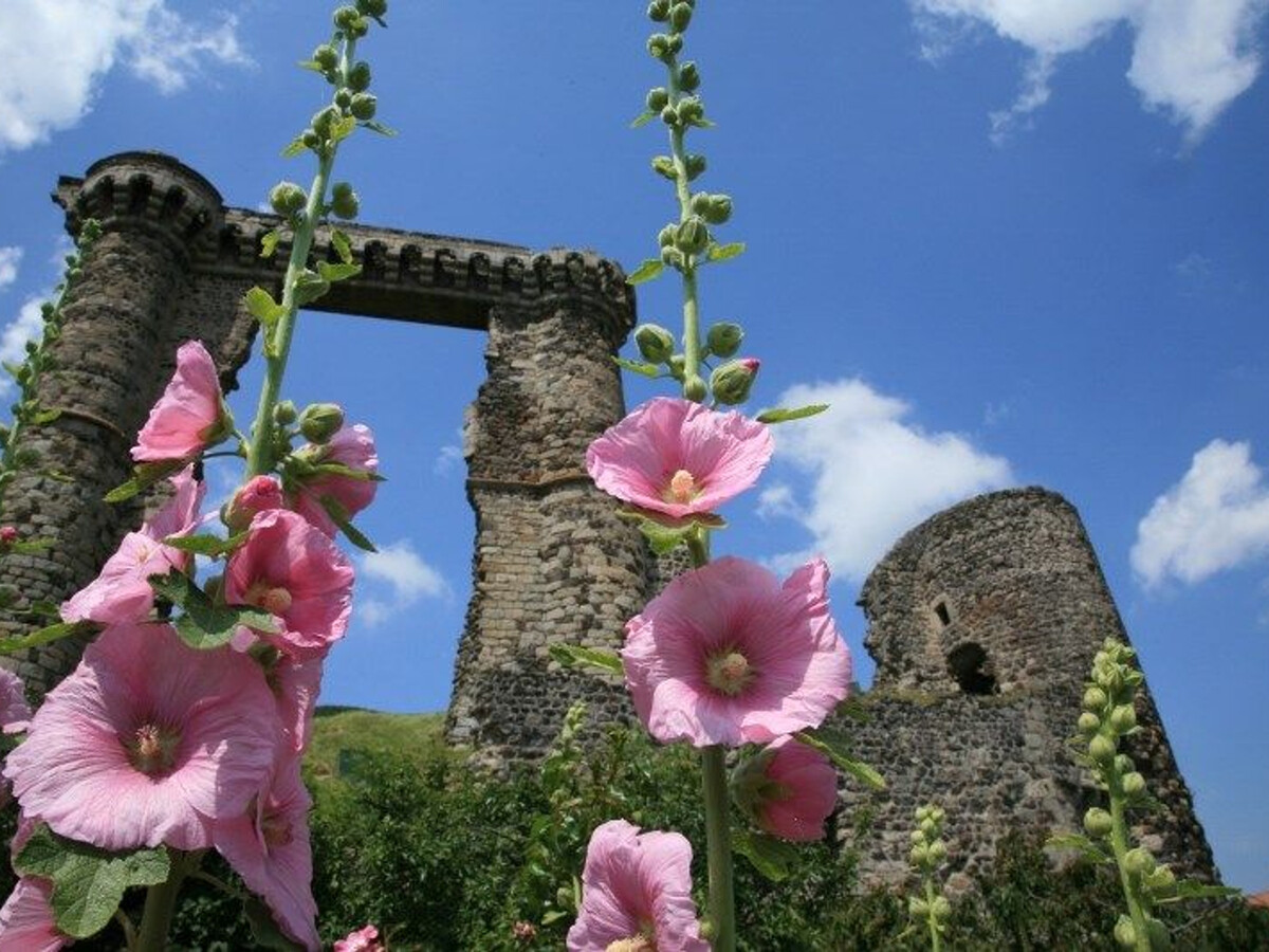 Gîte 8 personnes avec cour privée à Mazerat-Aurouze - Photo 10