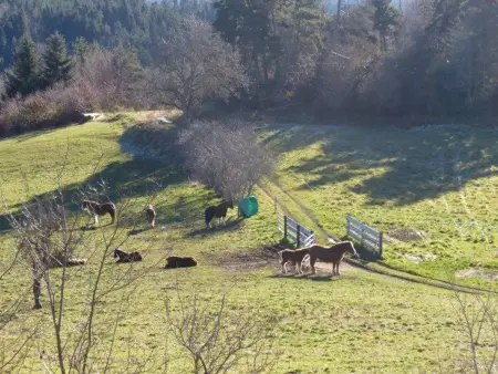 Gîte 4 chambres Saint-Vert, 2000 m² avec vue collines : photo 26