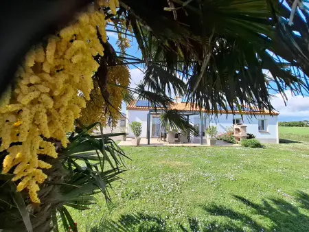 Gîte indépendant 8 pers. à la ferme bio, pêche privée : photo 31