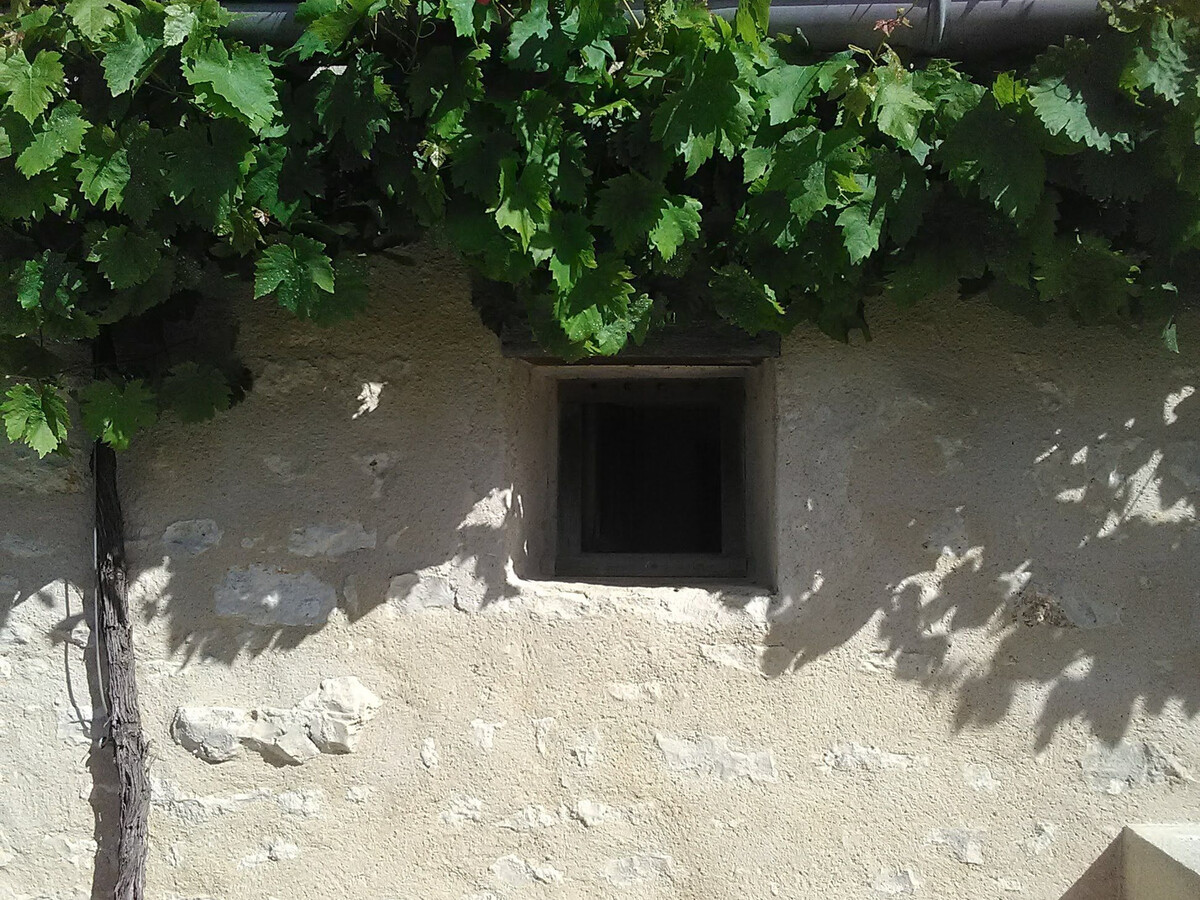Gîte 18e siècle rénové, piscine couloir de nage, 6 pers. - Photo 23