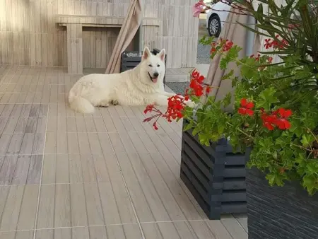 Gîte ferme rénovée 8 pers. – Jardin, pêche privée, trampoline : photo 6