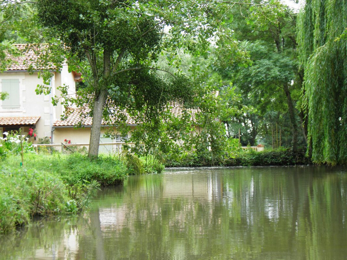 Gîte ancien moulin, étang privé et jardin 1100 m² à Foussais-Payré - Photo 16