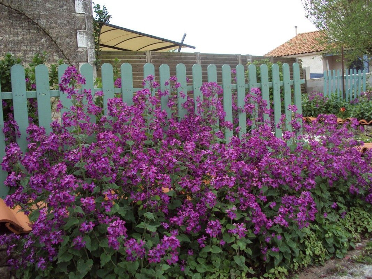 Gîte 8 personnes avec jardin clos, spa et équipements bébé - Photo 13