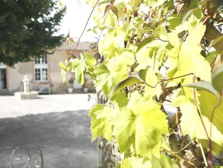 Gîte charmant avec terrasse privative et vélos, proche thalassothérapie et balnéothérapie - Photo 11