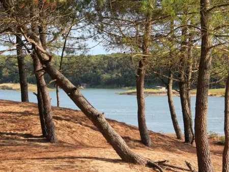 Gîte charmant avec terrasse privative et vélos, proche thalassothérapie et balnéothérapie - Photo 14