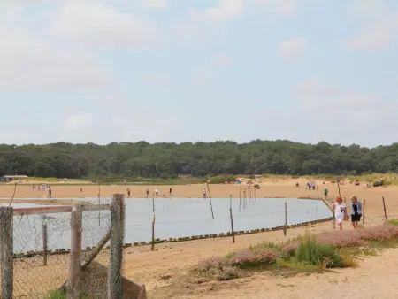 Gîte charmant avec terrasse privative et vélos, proche thalassothérapie et balnéothérapie - Photo 16