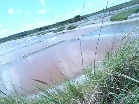 Gîte charmant avec terrasse privative et vélos, proche thalassothérapie et balnéothérapie - Photo 17