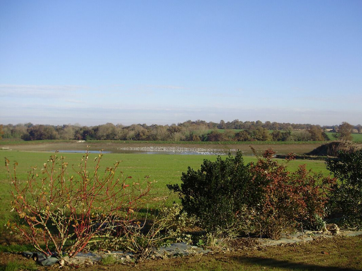 Gîte rural avec étang privé, terrasse et base ULM à 200 m - Photo 19