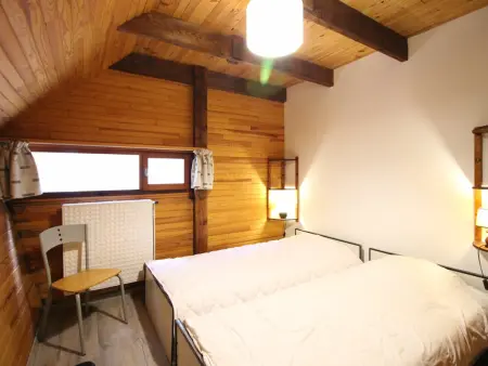 Chalet 9 pers Mont-Dore, cheminée, terrasse vue montagne : photo 9