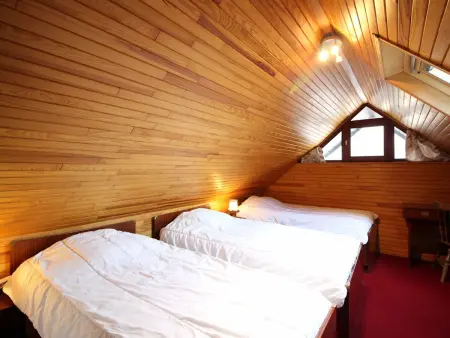 Chalet 9 pers Mont-Dore, cheminée, terrasse vue montagne : photo 11