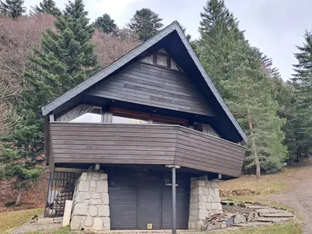 Chalet 9 pers Mont-Dore, cheminée, terrasse vue montagne : photo 15