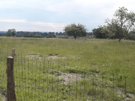 Gîte 8 pers. Crevant, jardin clos 1000m² et terrain de boule : photo 21