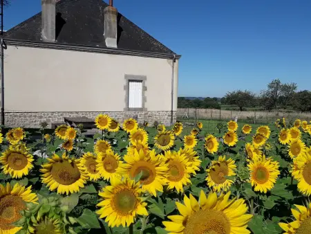 Gîte 8 pers. Crevant, jardin clos 1000m² et terrain de boule : photo 25